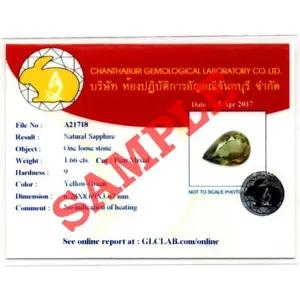 [11173 sold]GLC Chanthaburi Gemological Laboratory Brief Report With Photo x1 (Service)